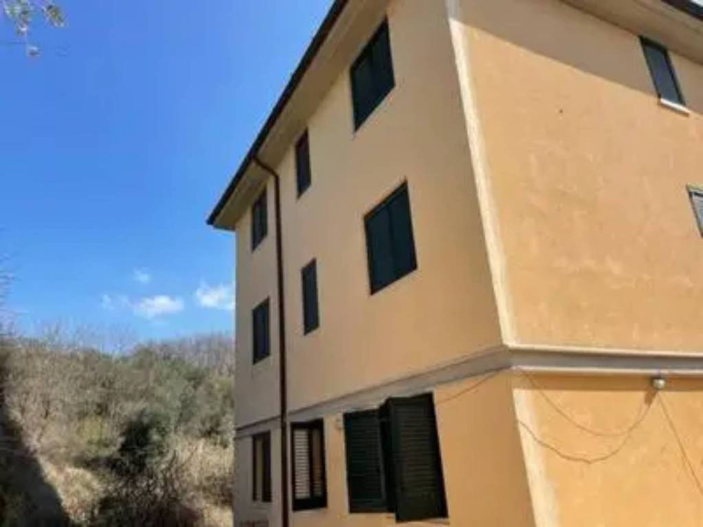 immagine annuncio 2 di 3