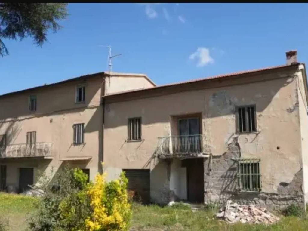 immagine annuncio 1 di 4