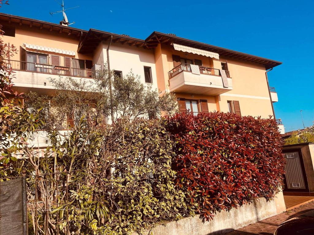 immagine annuncio 1 di 5