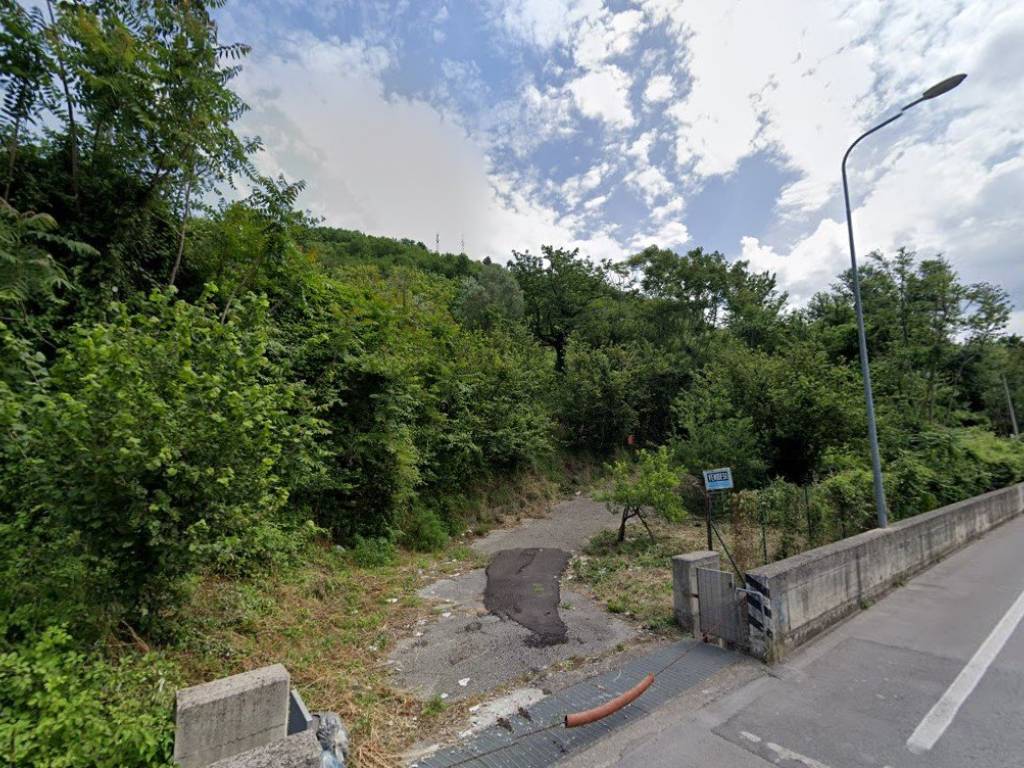 immagine annuncio 1 di 2