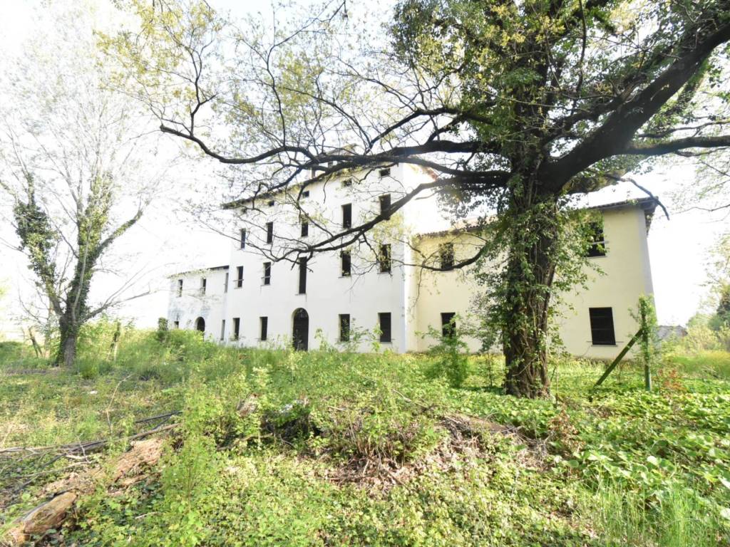 immagine annuncio 2 di 4