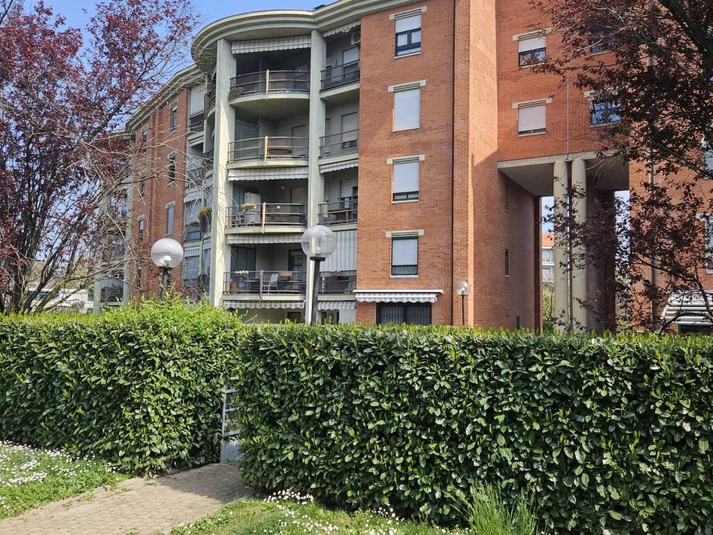 immagine annuncio 3 di 5