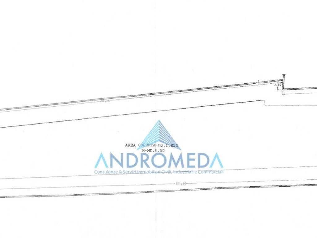 immagine annuncio 1 di 2