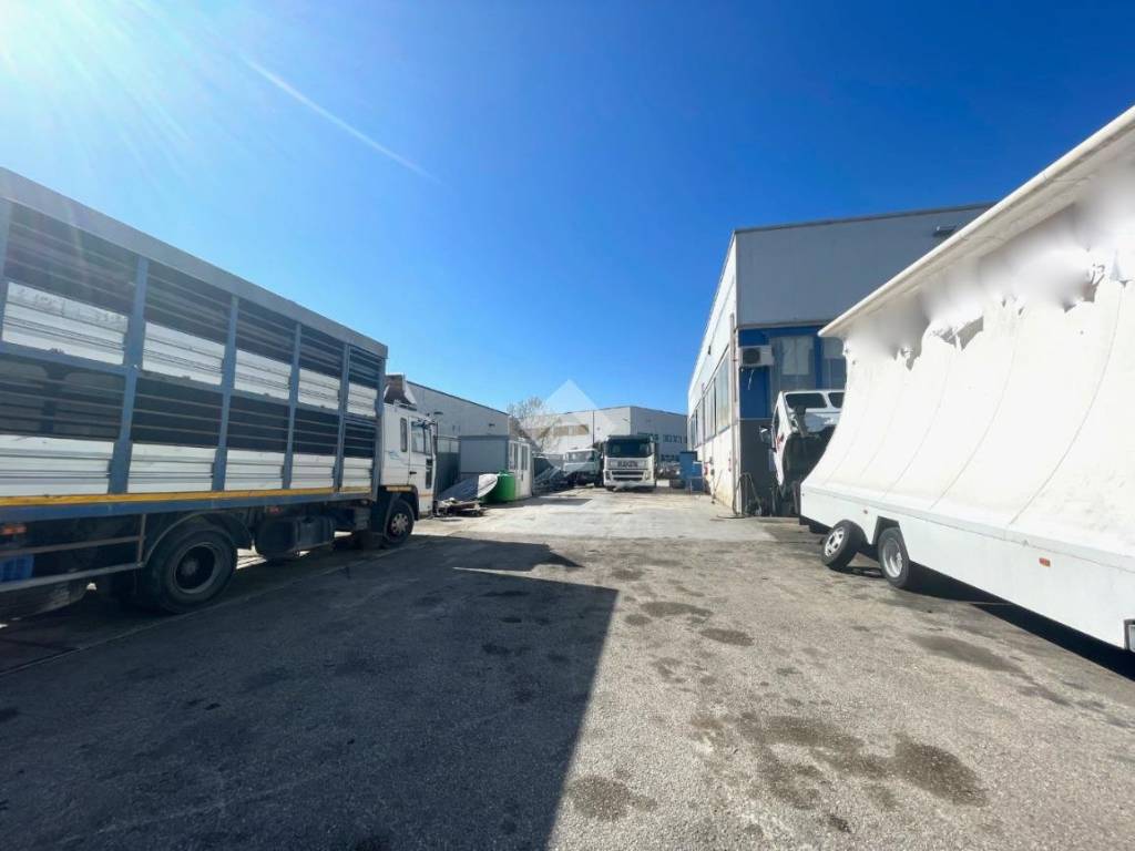 immagine annuncio 2 di 5