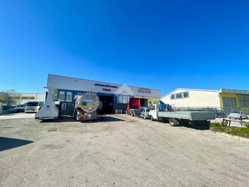 immagine annuncio 3 di 5