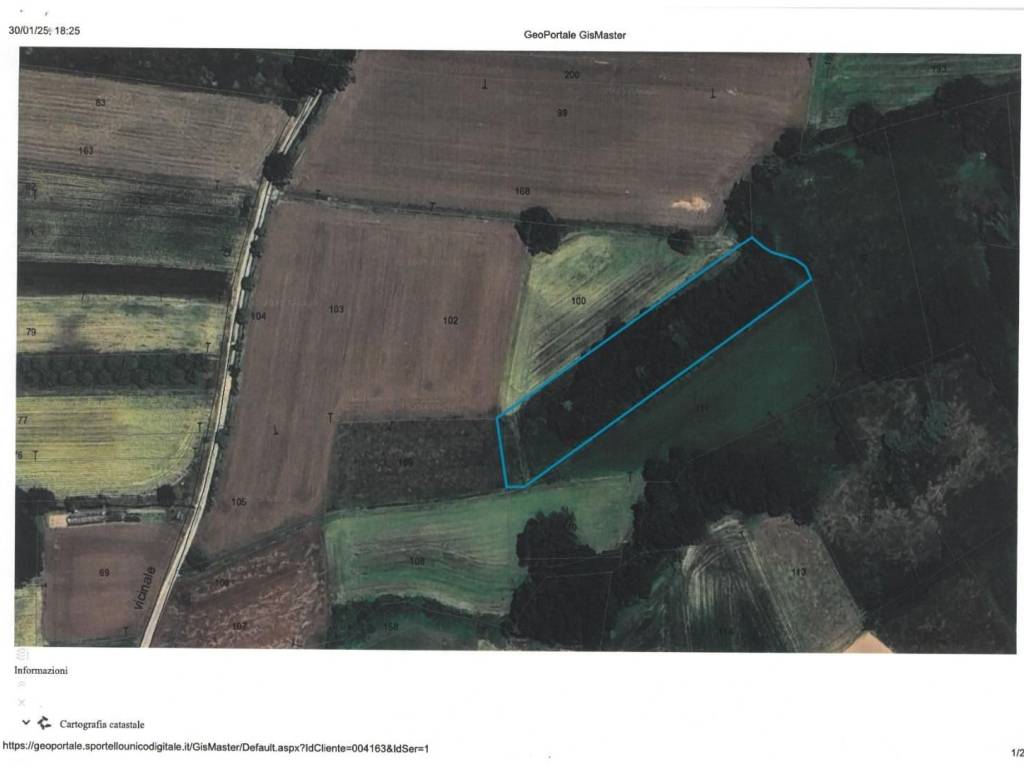 immagine annuncio 2 di 4