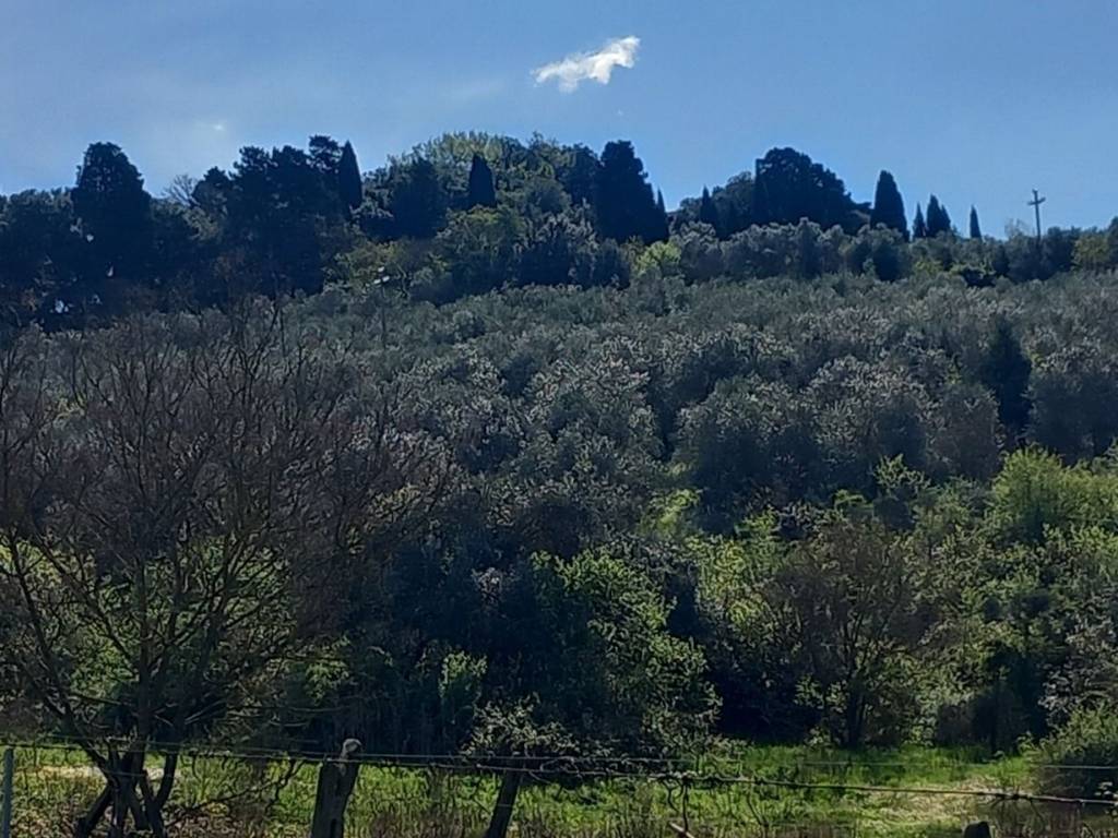 immagine annuncio 2 di 3