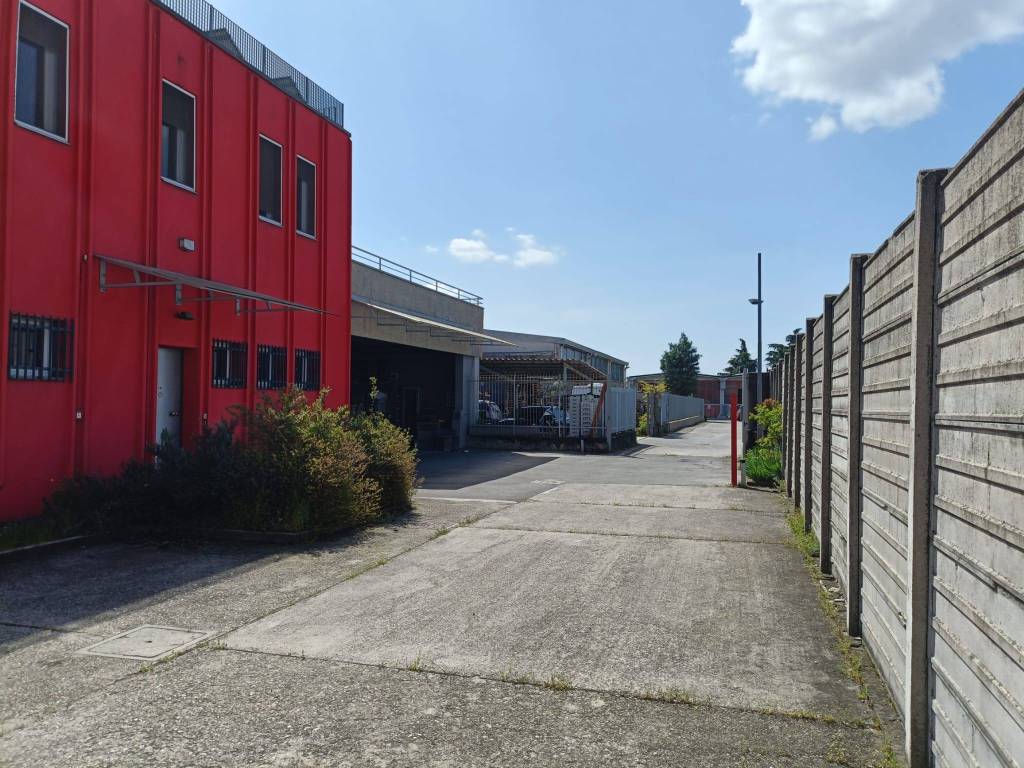 immagine annuncio 3 di 5