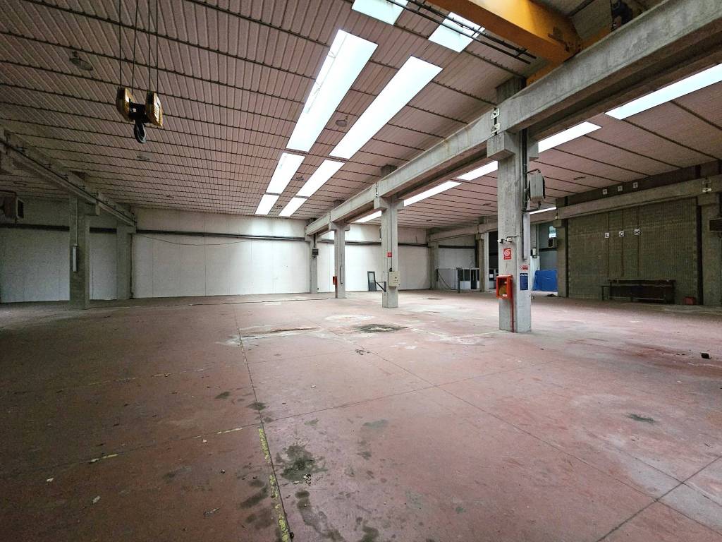 immagine annuncio 2 di 5