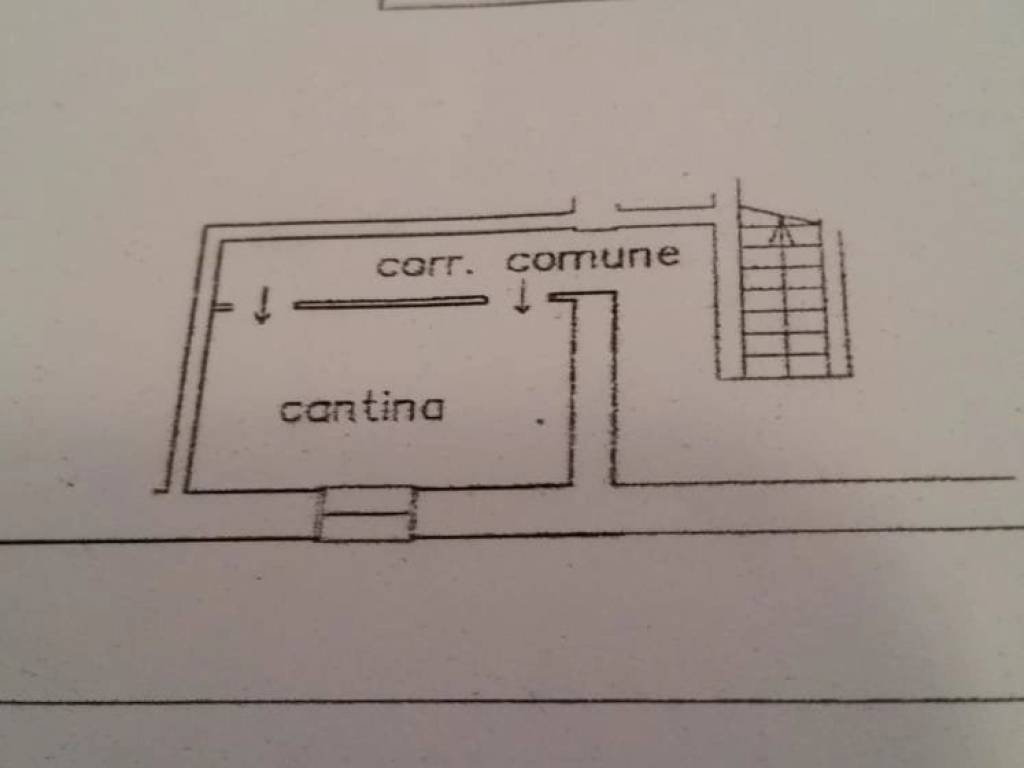 immagine annuncio 1 di 2
