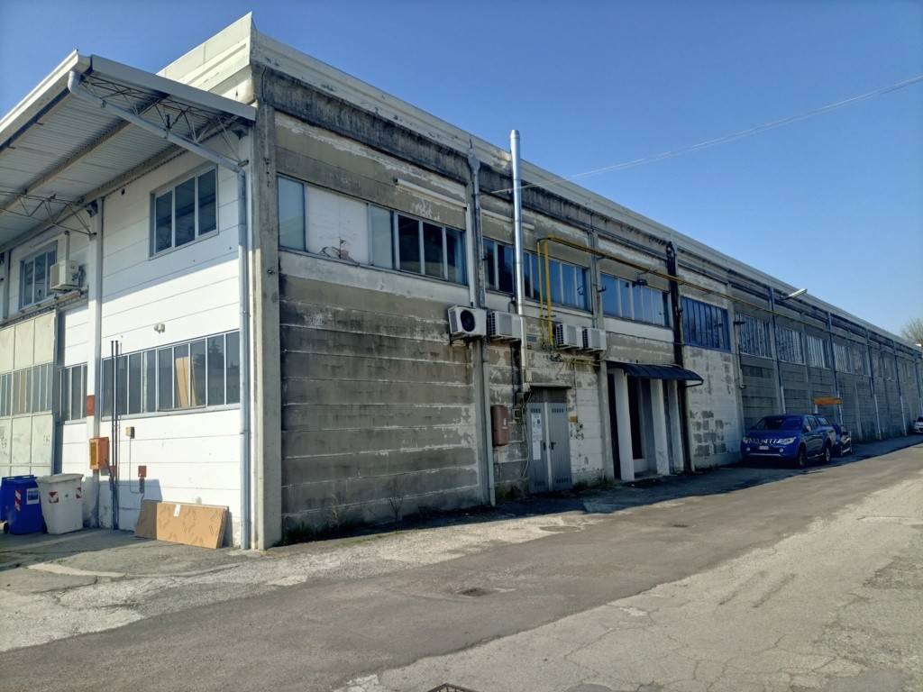 immagine annuncio 2 di 5