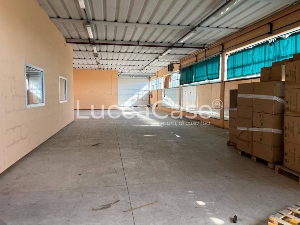 immagine annuncio 1 di 4