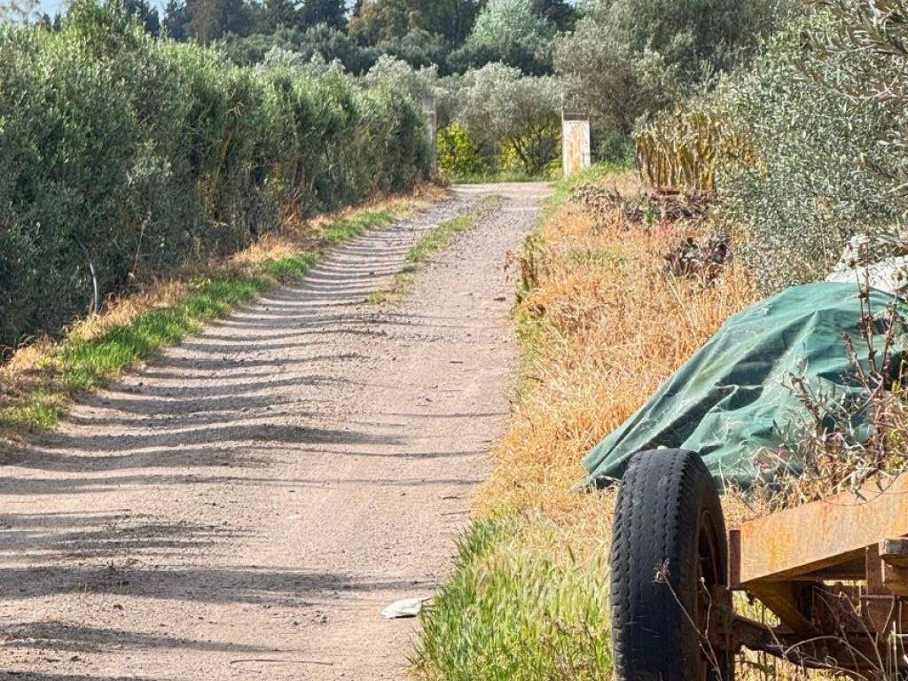 immagine annuncio 1 di 3