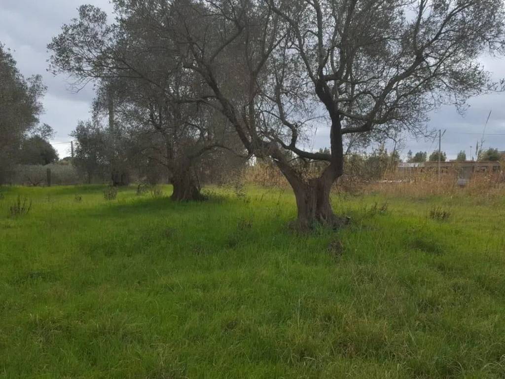 immagine annuncio 1 di 3