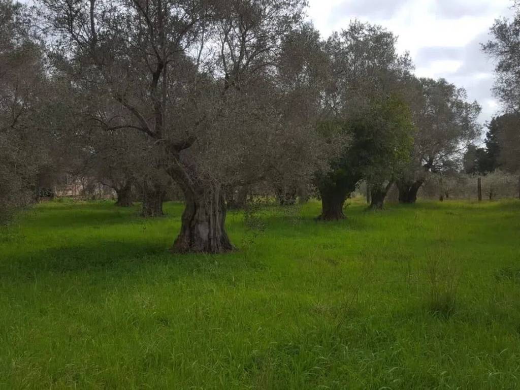 immagine annuncio 2 di 3
