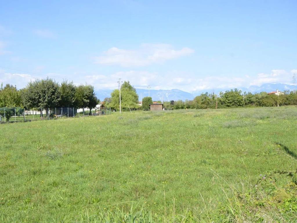 immagine annuncio 3 di 4