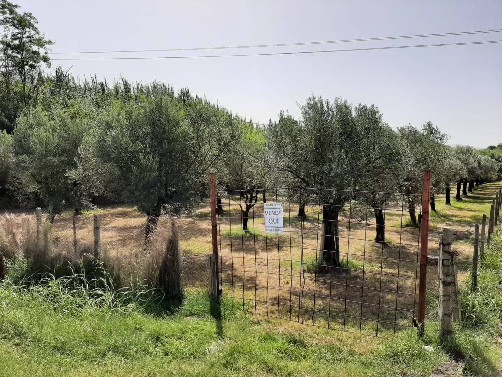 immagine annuncio 1 di 4