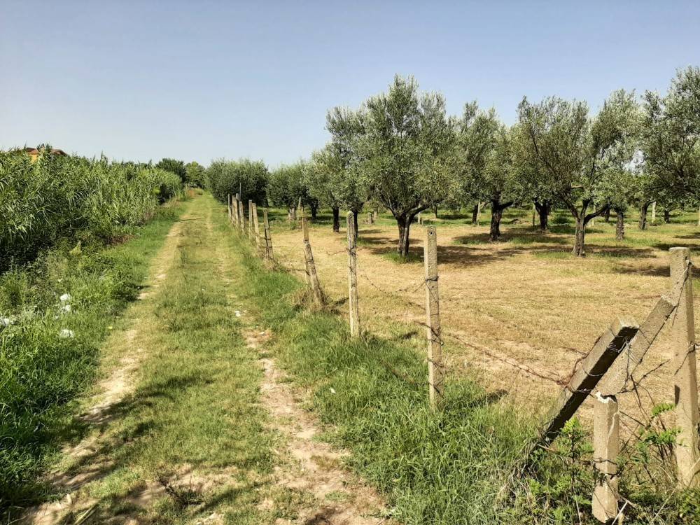 immagine annuncio 3 di 4