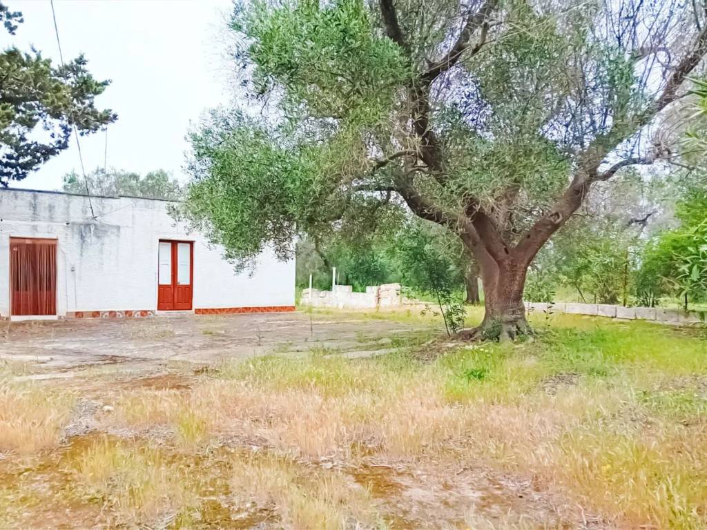 immagine annuncio 1 di 4