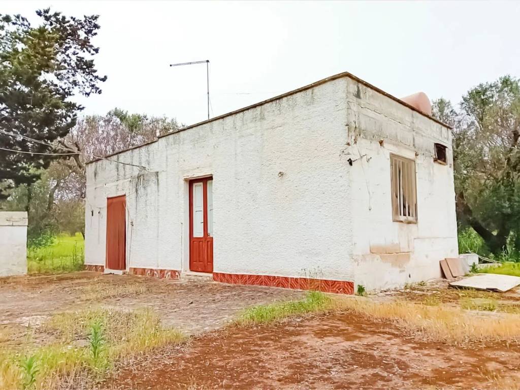 immagine annuncio 2 di 4