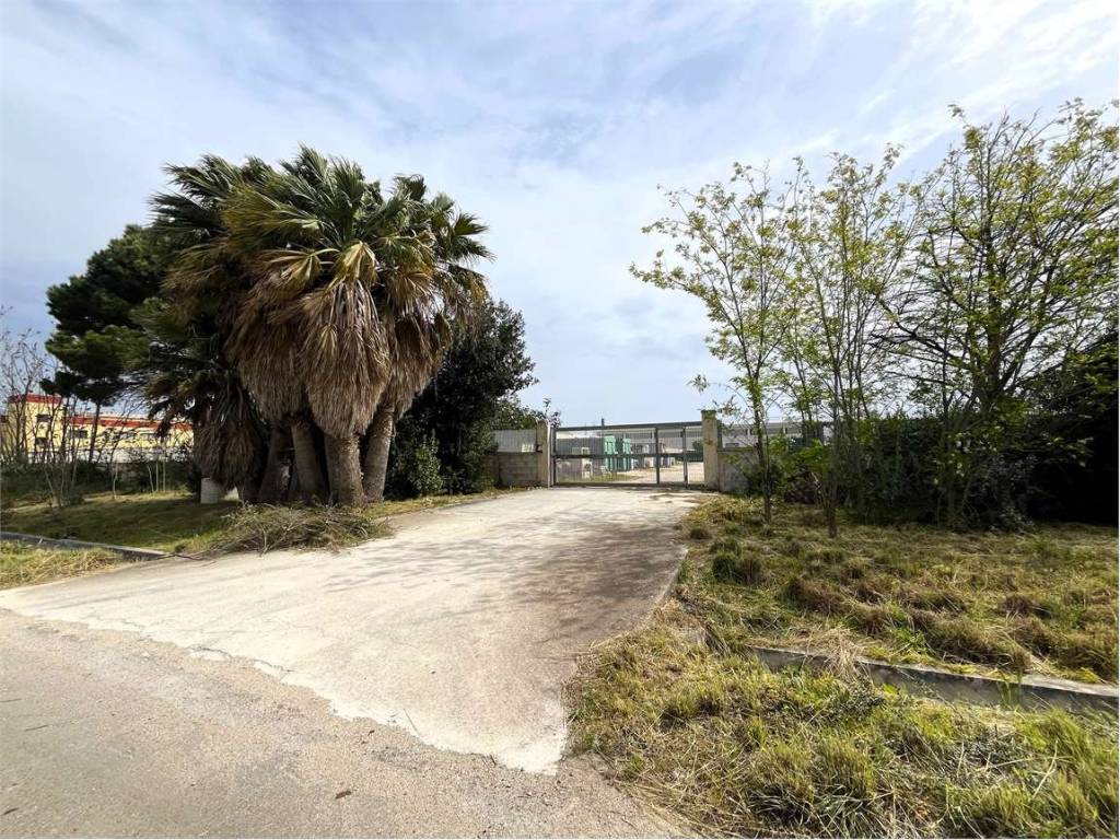 immagine annuncio 1 di 4