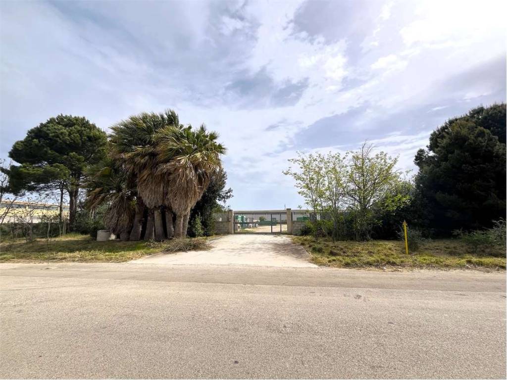 immagine annuncio 2 di 4