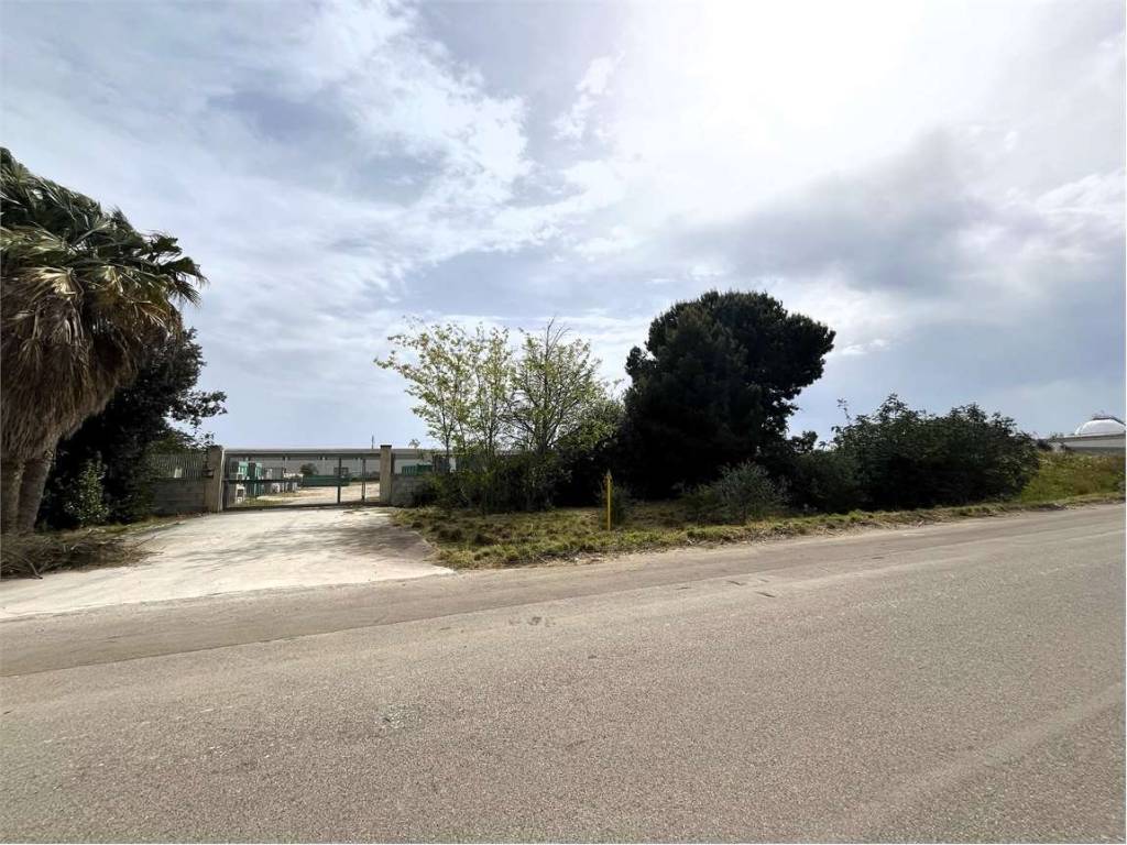 immagine annuncio 3 di 4