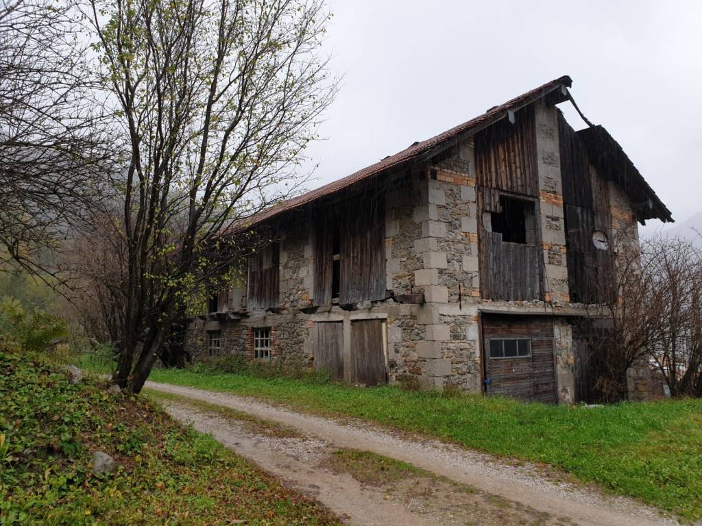 immagine annuncio 2 di 4