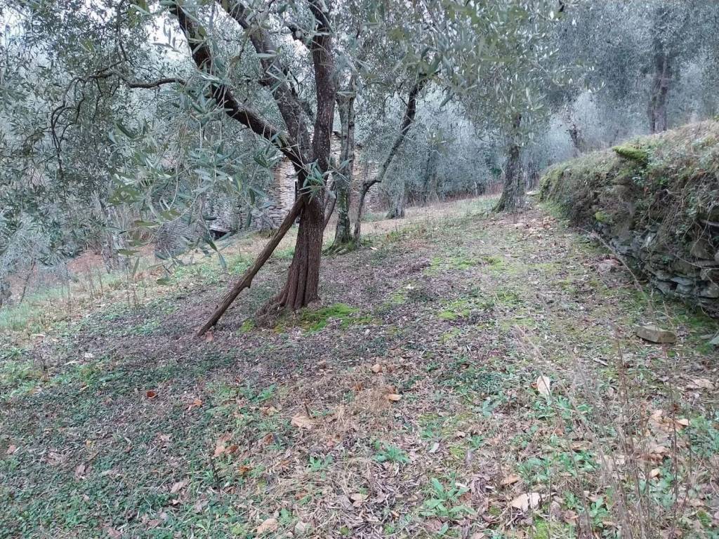 immagine annuncio 2 di 3
