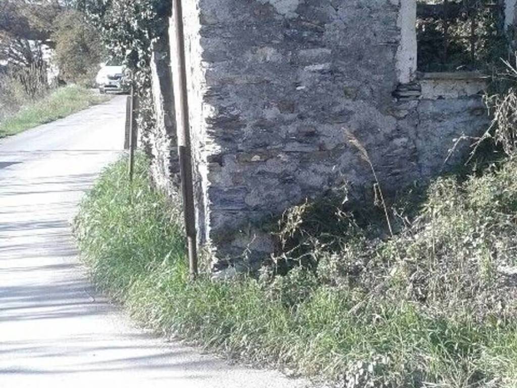 immagine annuncio 2 di 4