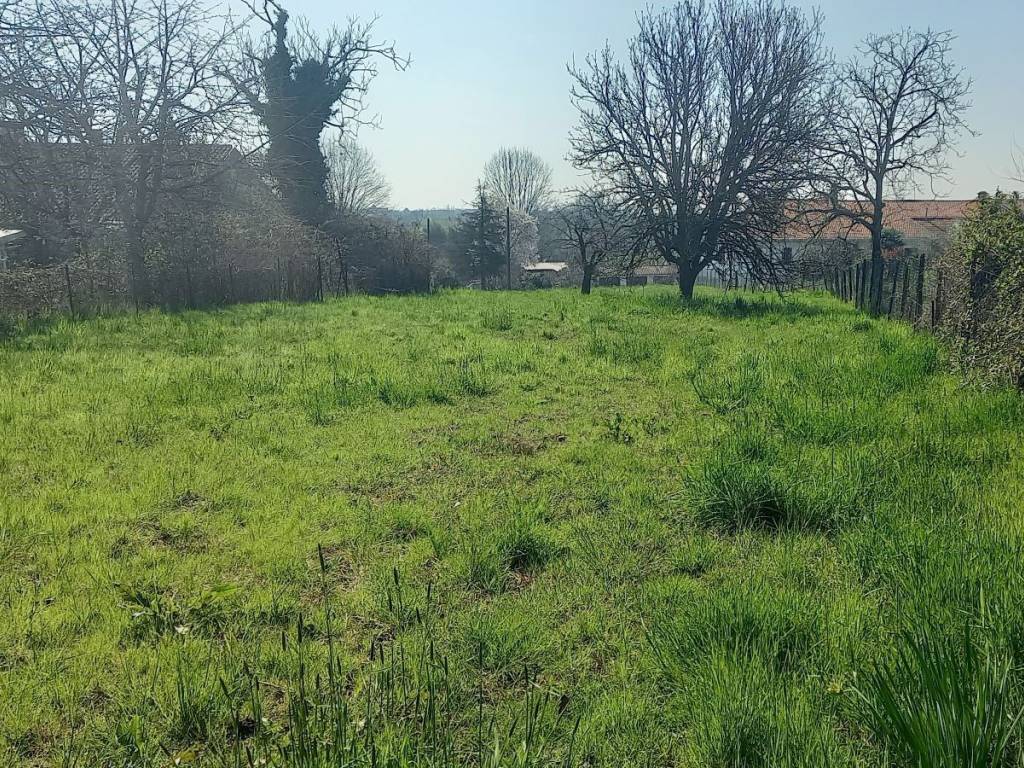 immagine annuncio 1 di 4