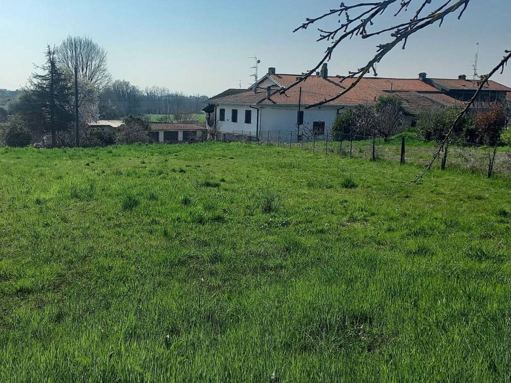 immagine annuncio 2 di 4