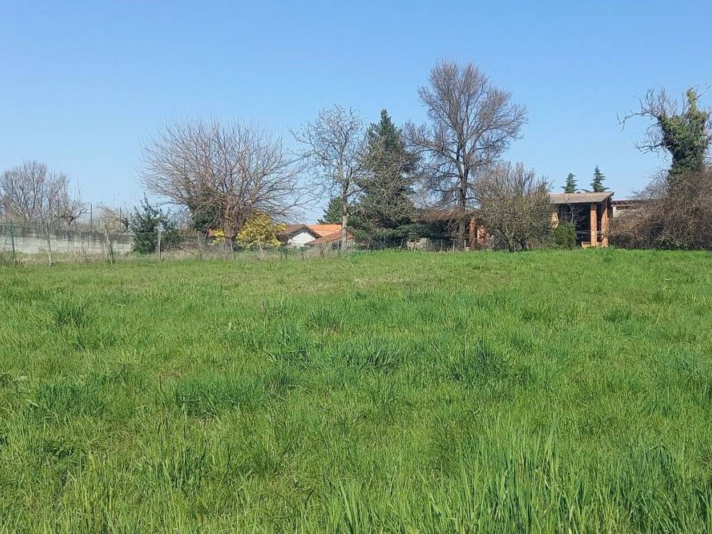 immagine annuncio 3 di 4