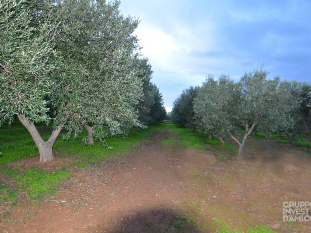 immagine annuncio 2 di 3