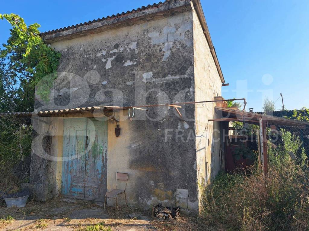 immagine annuncio 2 di 4