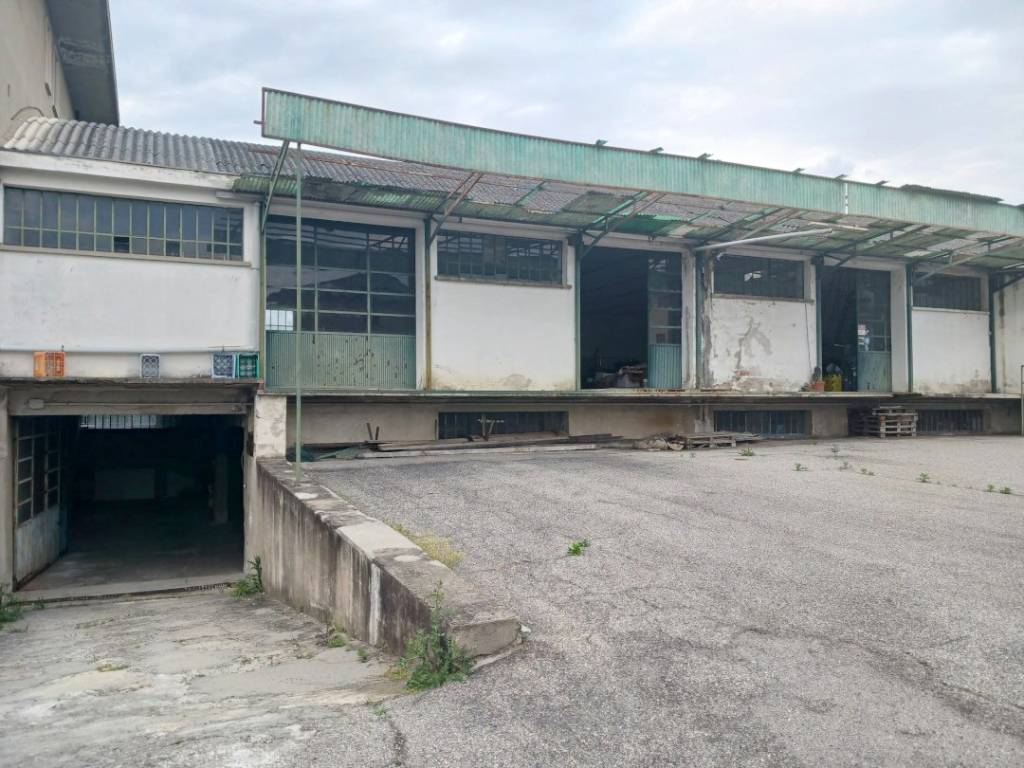 immagine annuncio 2 di 5