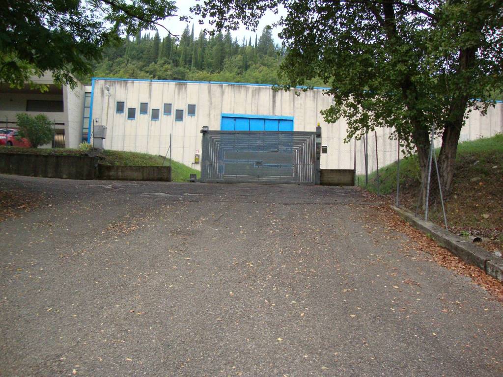 immagine annuncio 2 di 4