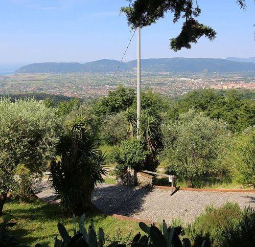 immagine annuncio 1 di 4