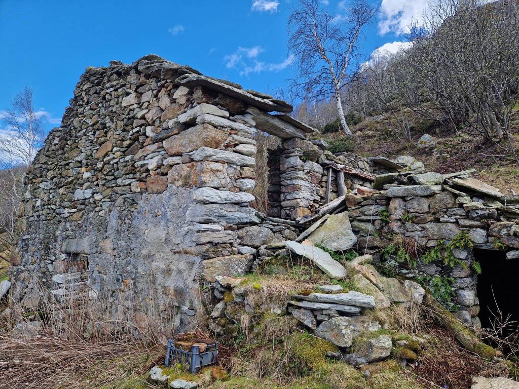 immagine annuncio 1 di 5