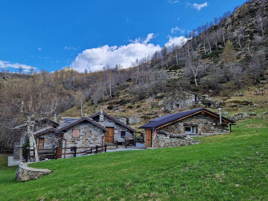 immagine annuncio 4 di 5