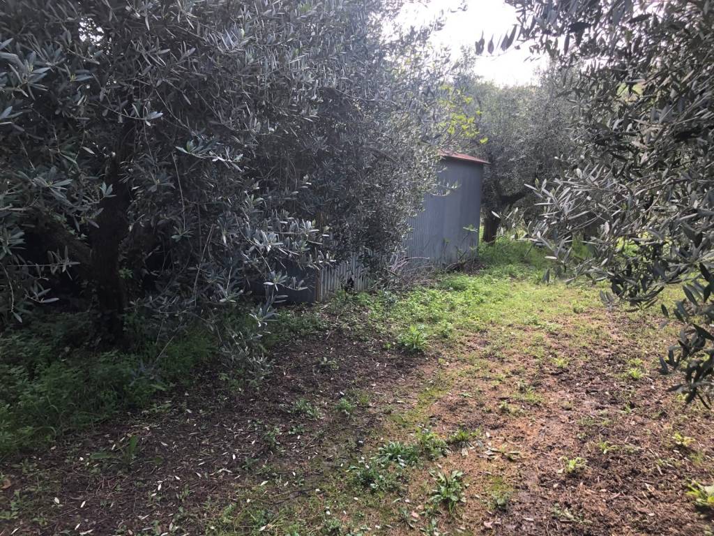 immagine annuncio 1 di 3