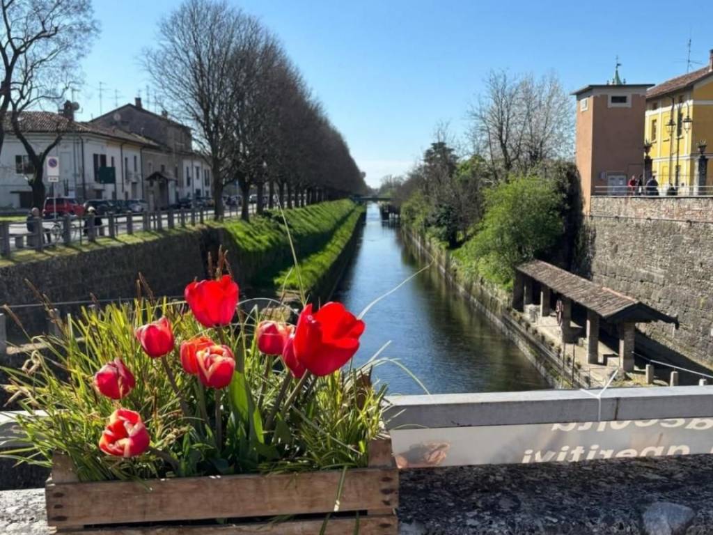 immagine annuncio 3 di 5