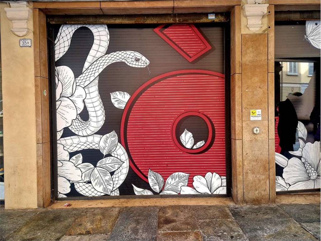 immagine annuncio 1 di 5