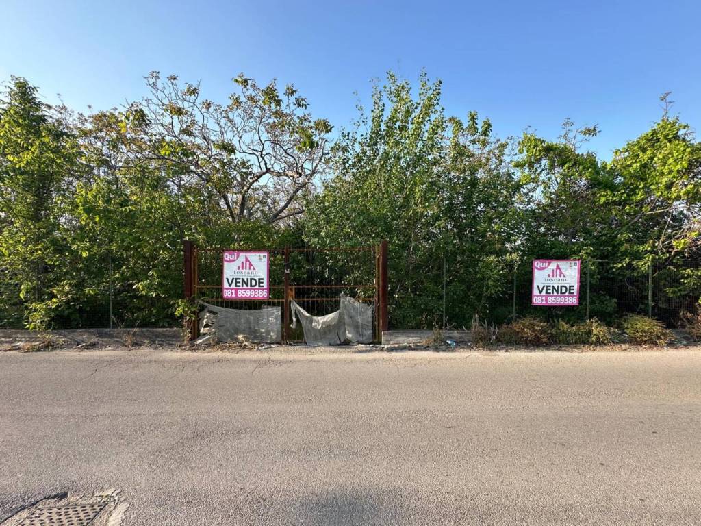 immagine annuncio 2 di 4