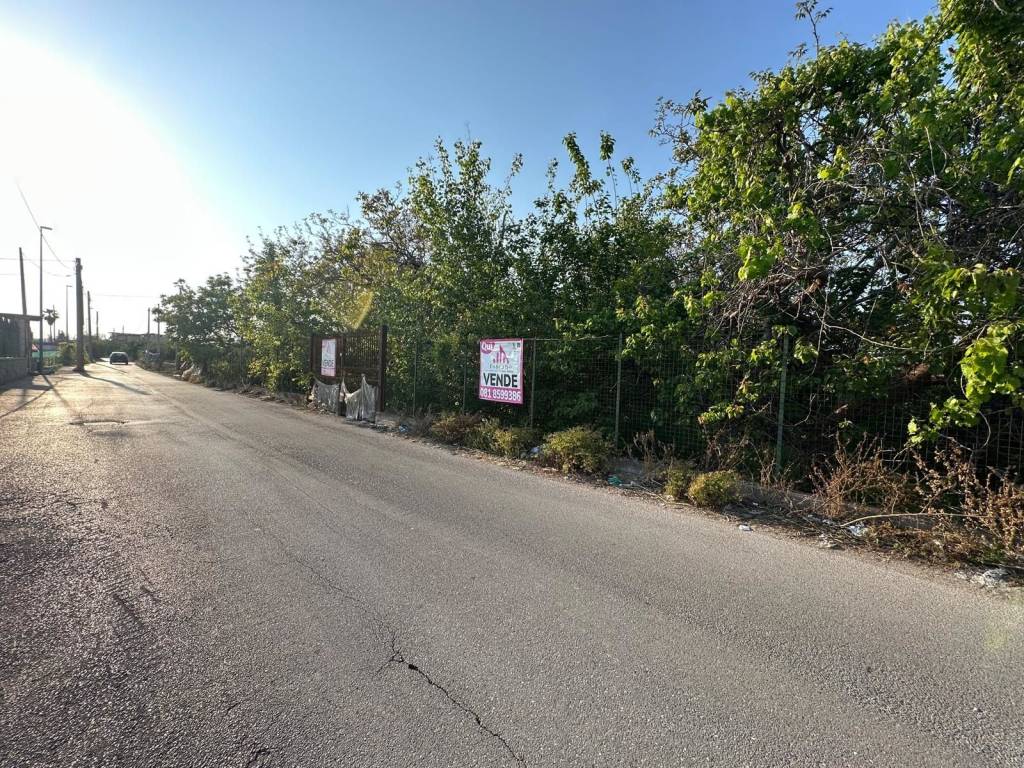 immagine annuncio 3 di 4