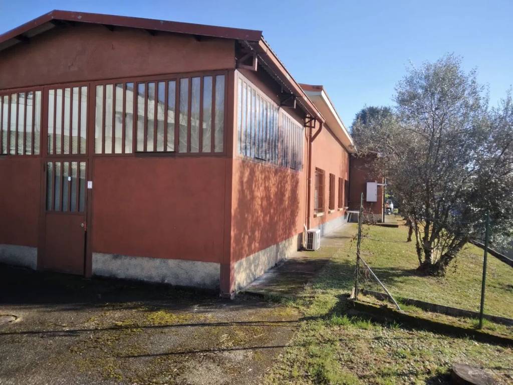immagine annuncio 3 di 5