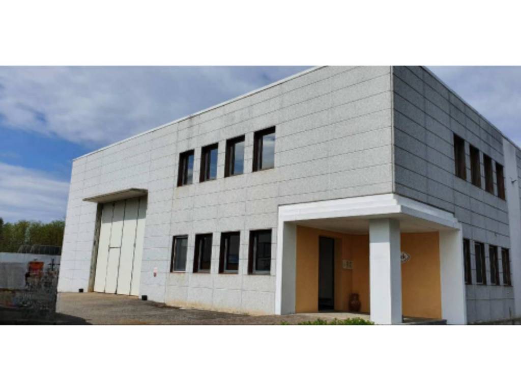 immagine annuncio 2 di 5