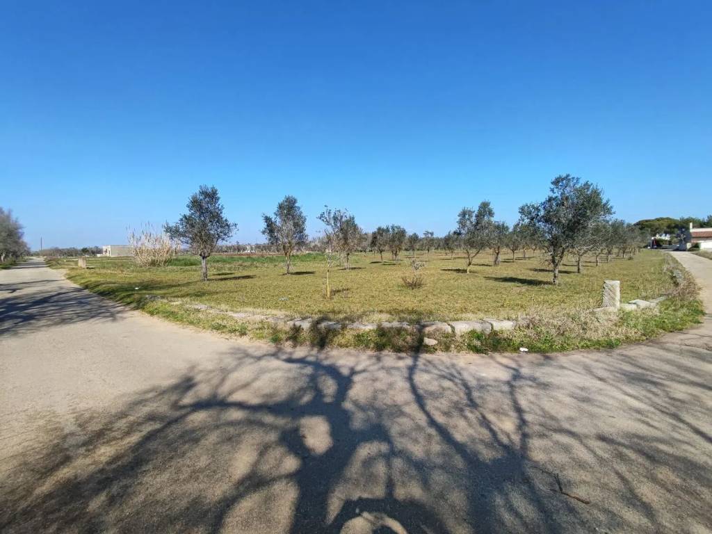 immagine annuncio 3 di 4