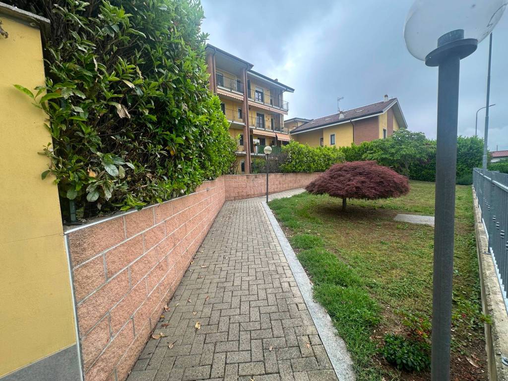 immagine annuncio 2 di 5