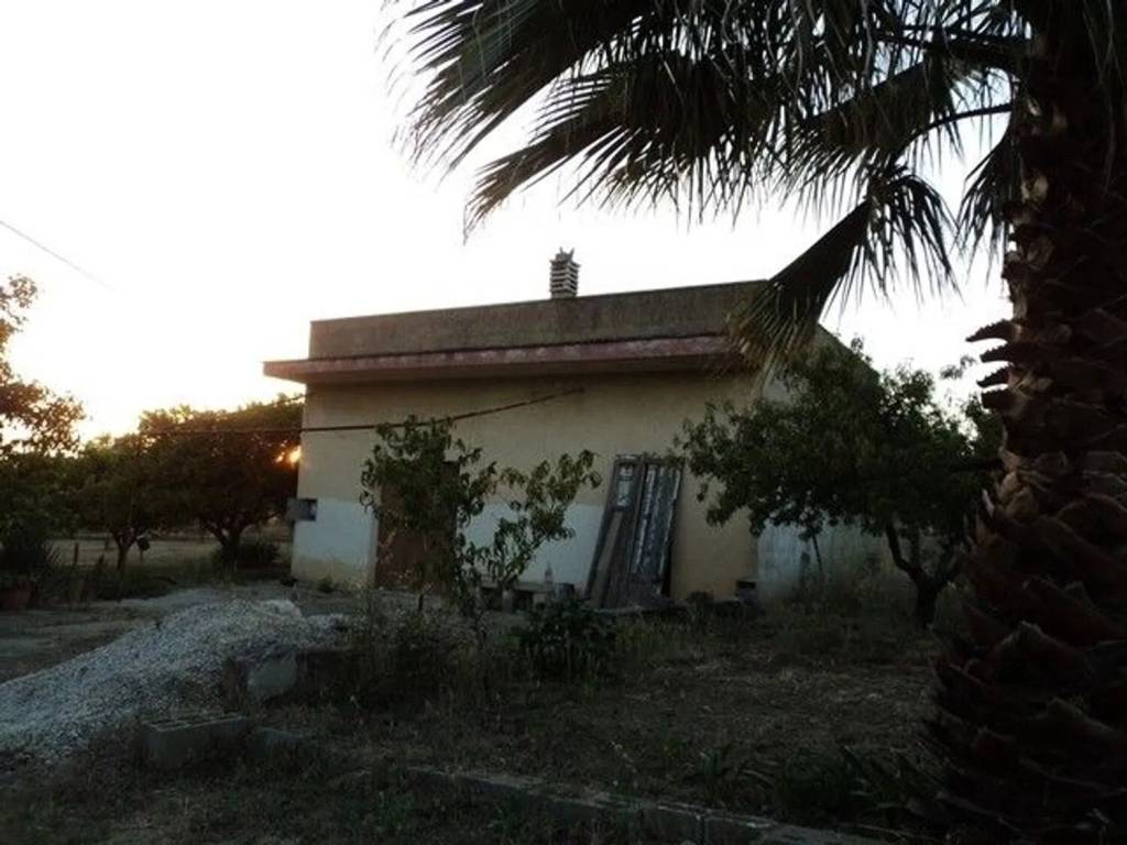 immagine annuncio 2 di 3